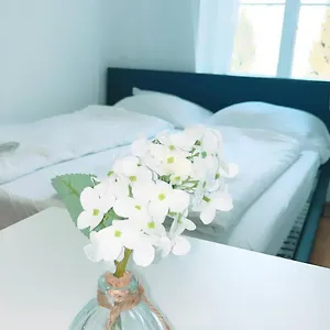 Apartament Deluxe Double Kp, Wiedeń